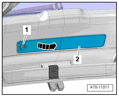 Audi Q5. A70-11011