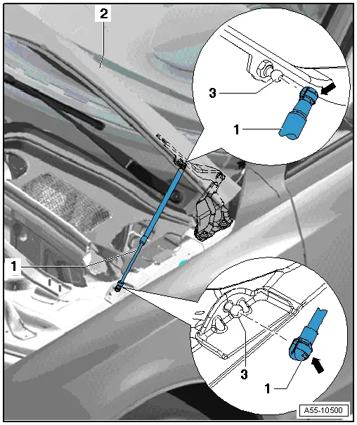 Audi Q5. Overview - Gas-Filled Strut